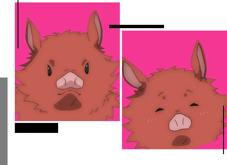 アカツキの顔